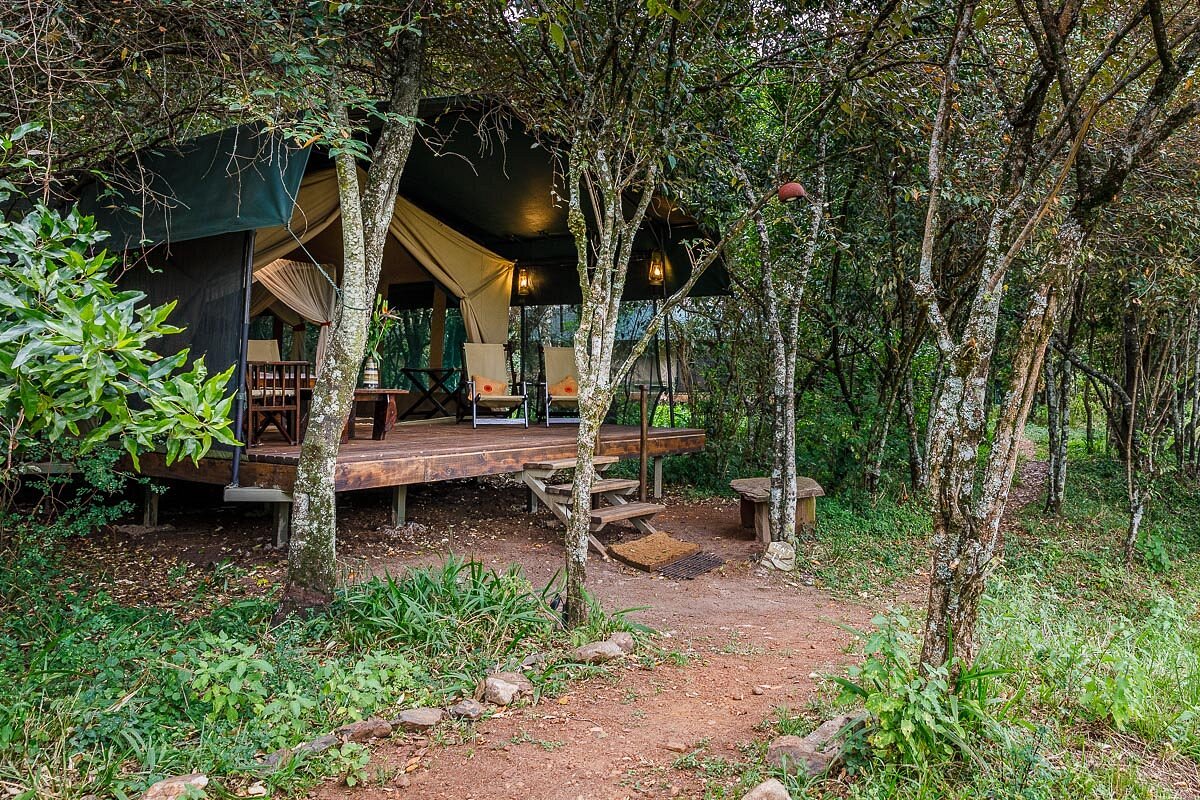 luxury guest tent