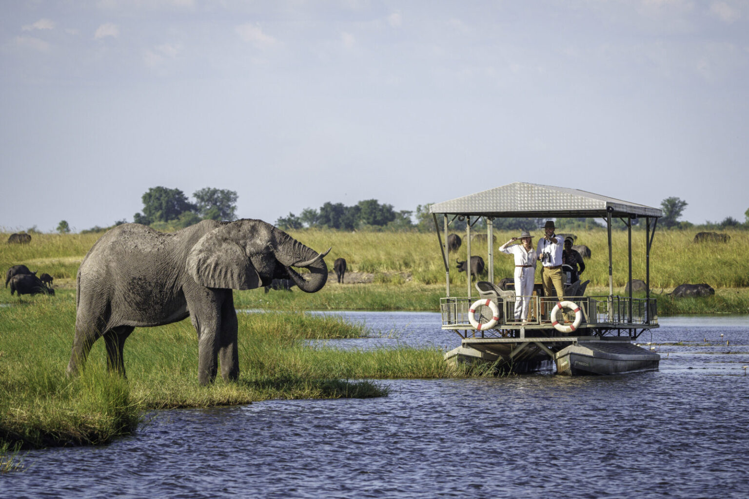 chobe game lodge obserwacja słoni na safari - para podróżująca samochodem terenowym