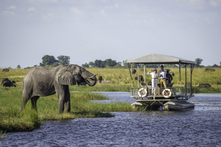 chobe game lodge obserwacja słoni na safari - para podróżująca samochodem terenowym
