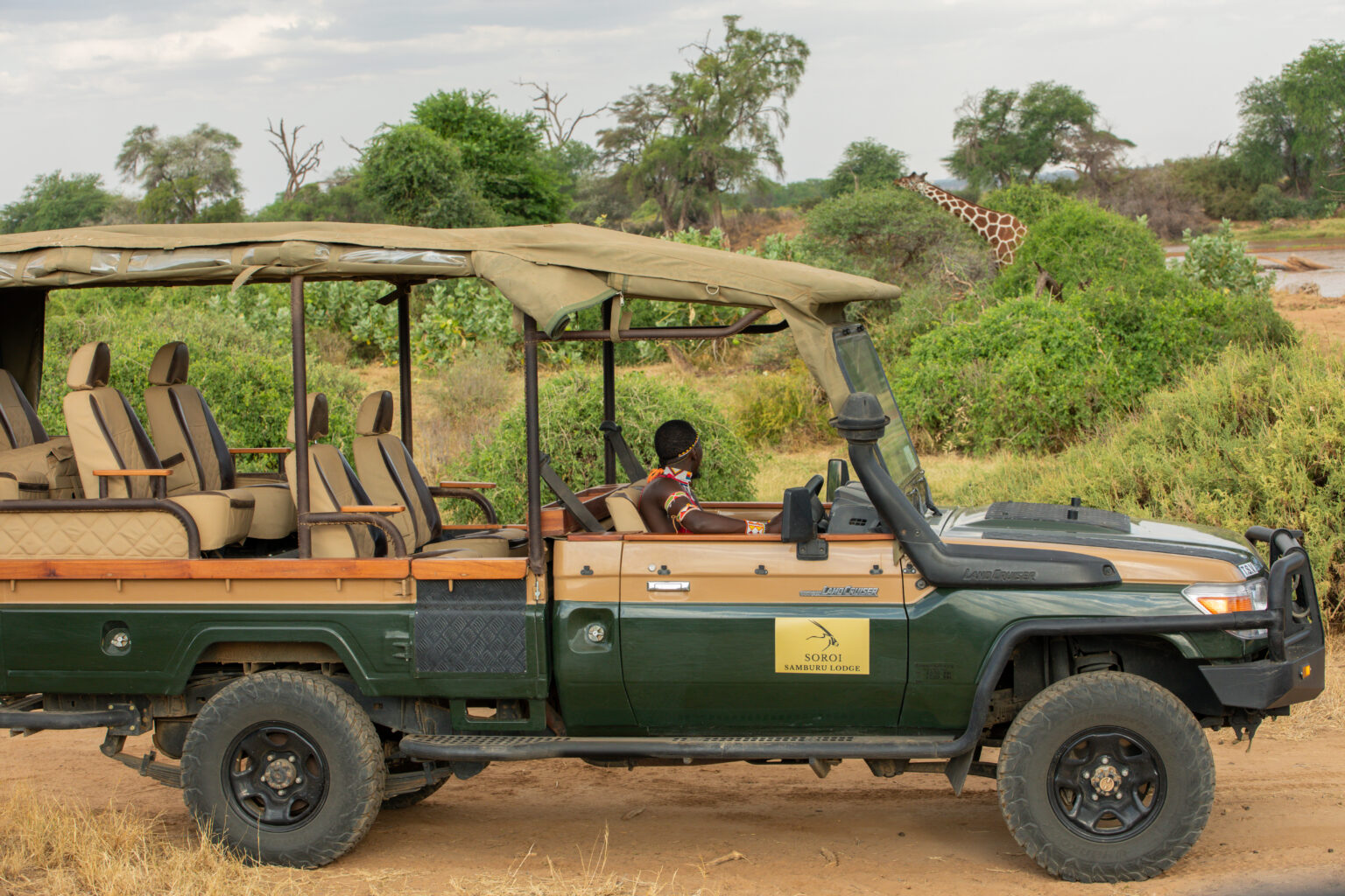 game drive experience