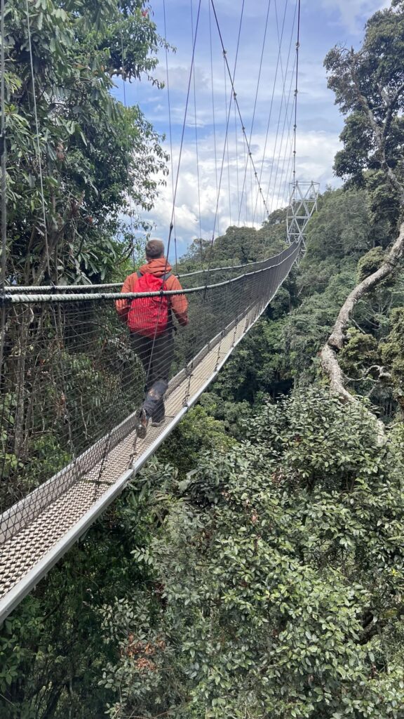 podróż przez zwisające mosty nad dżunglą - wyprawa trekkingowa