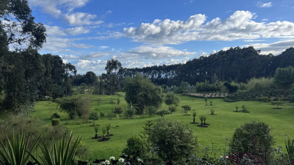 widok na przyrodę niedaleko hotelu one and only w Rwandzie