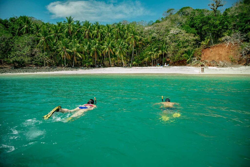 isla palenque w panamie ludzie nurkujący na tle plaży
