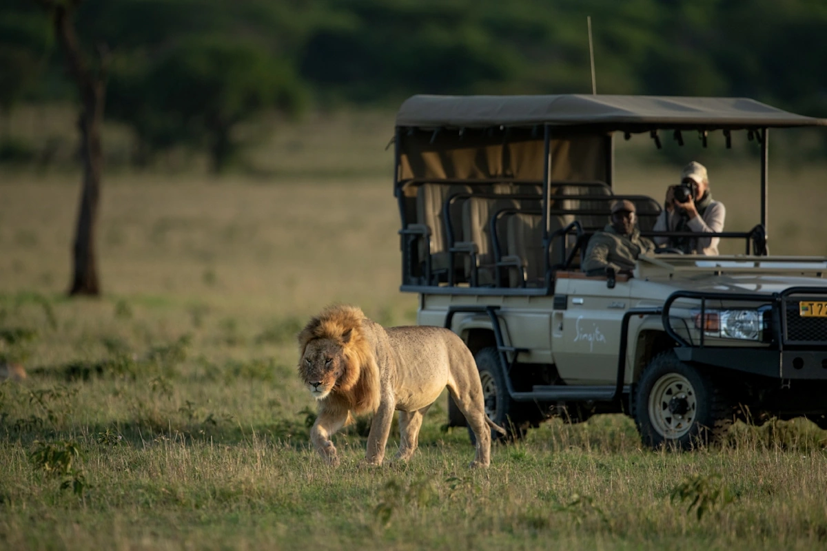 sasakwa activities game drive slider3