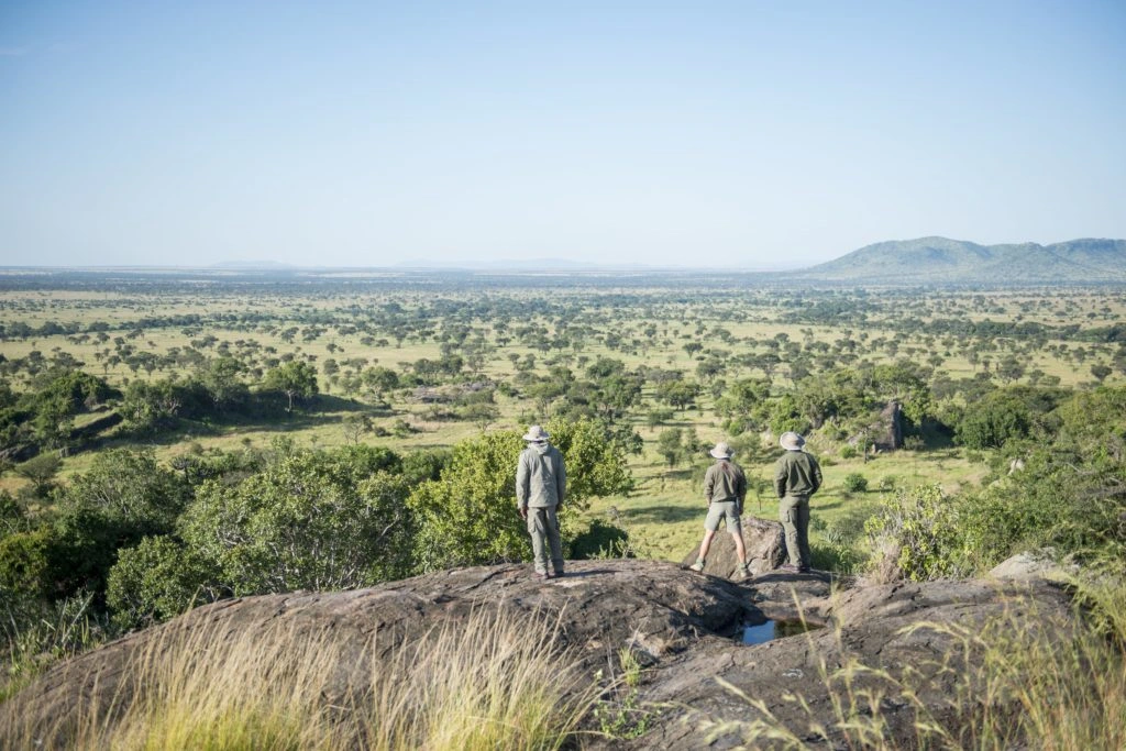 walking safari singita grumeti tanzania 1024x683