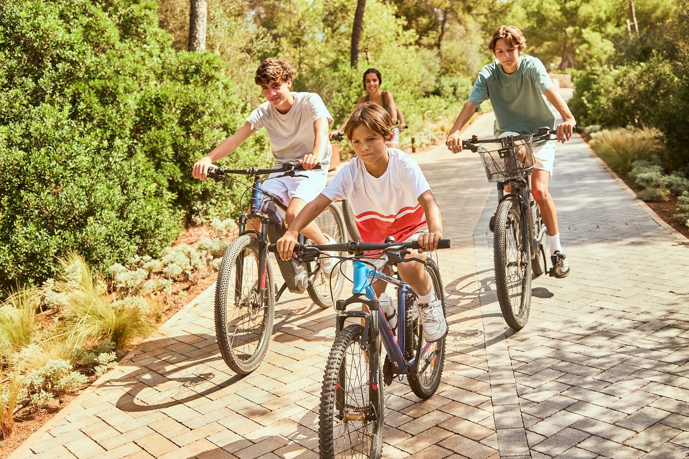 bike (1)