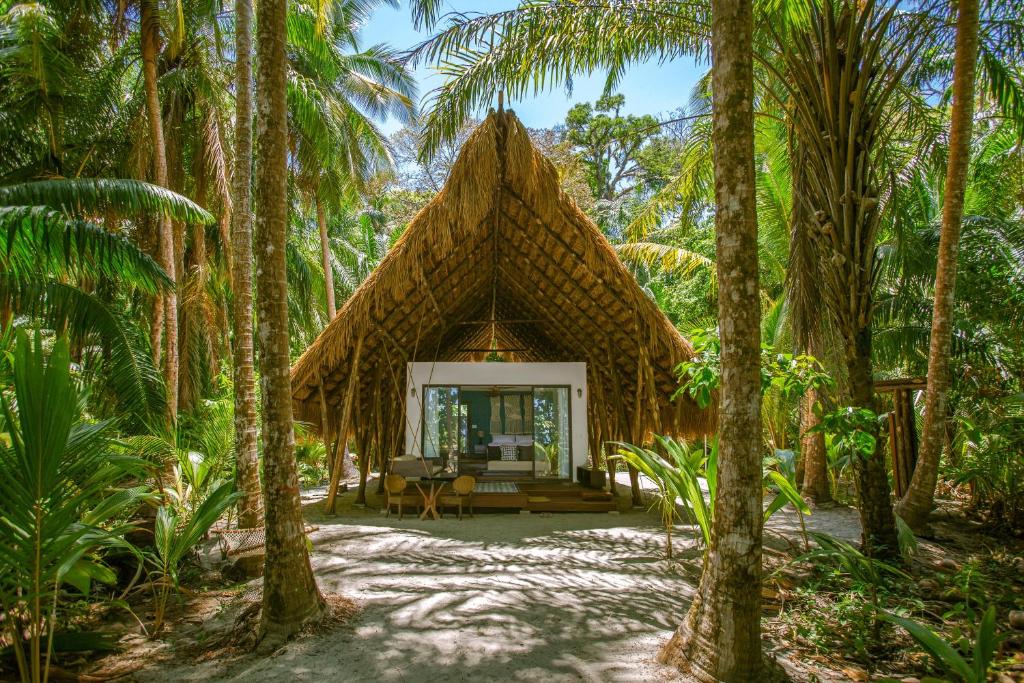 resort at isla palenque 8