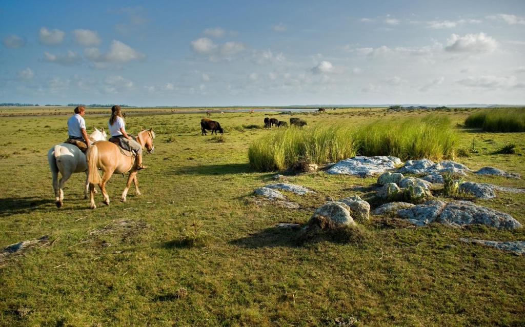 estancia vik josé ignacio jazda konna