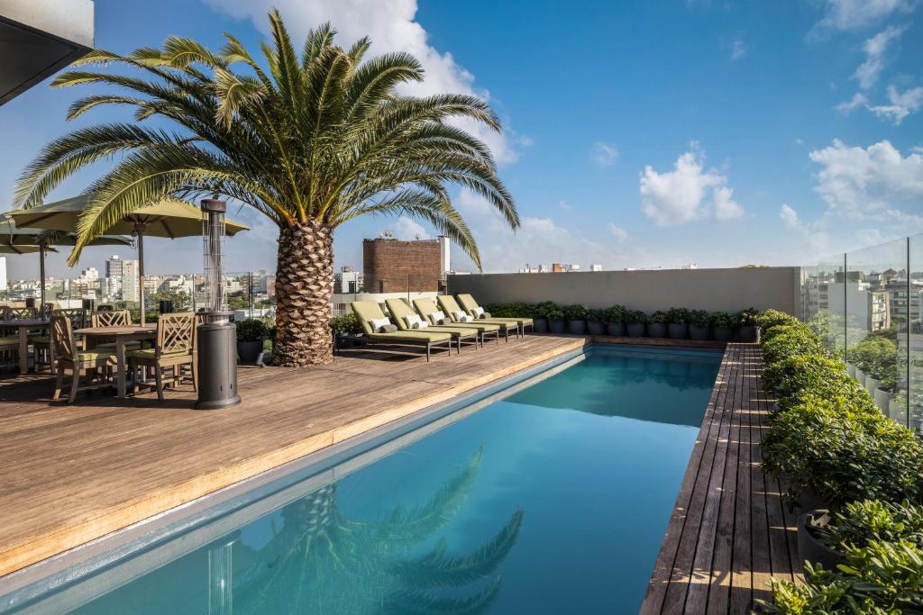 hotel montevideo basen hotelowy na zewnątrz