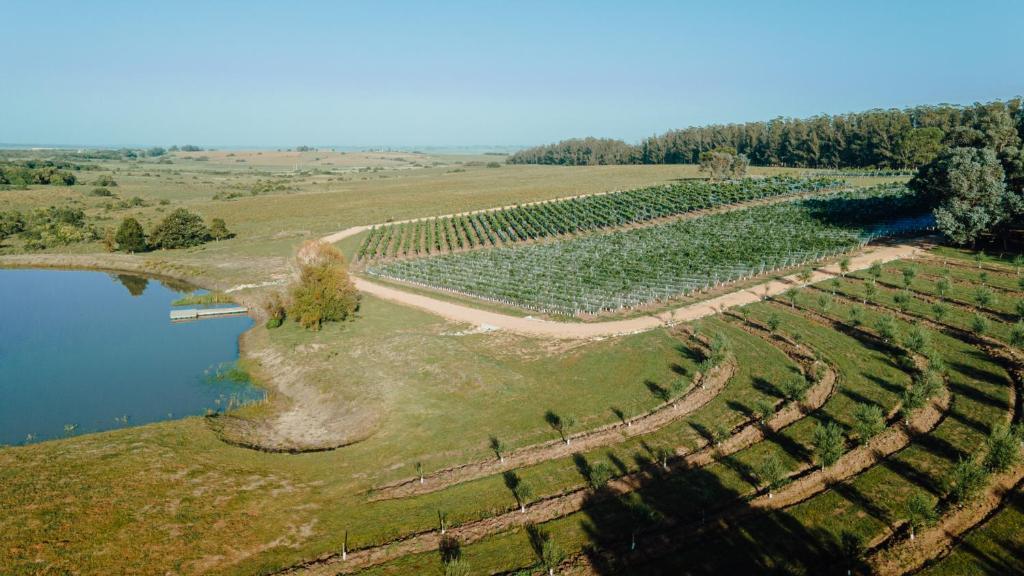 luz culinary wine lodge winnica