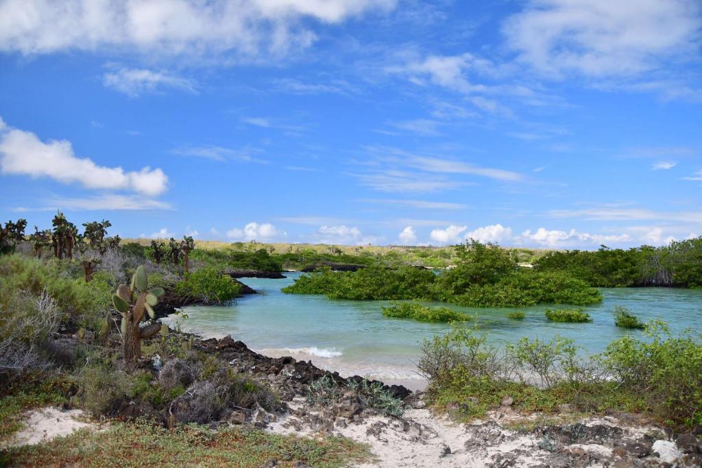 royal palm galapagos okolica
