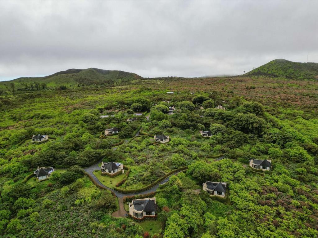 royal palm galapagos rozmieszczenie willi na wzgórzu z lotu ptaka