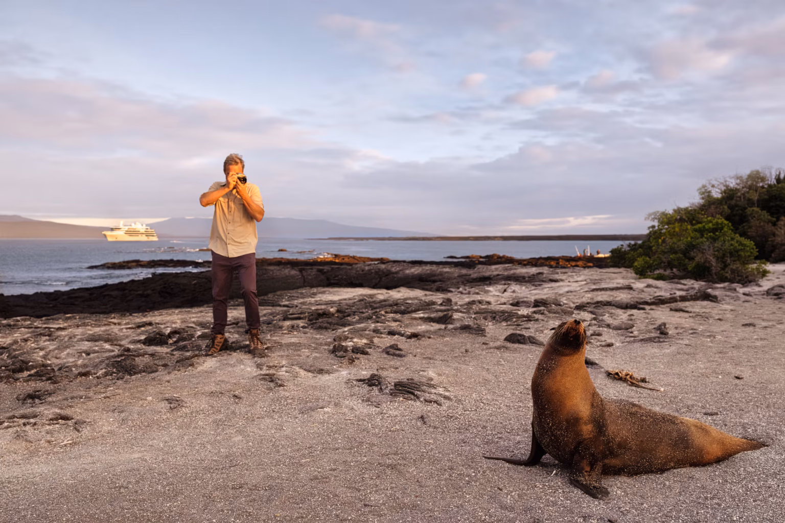 silver origin galapagos fotografowanie foki