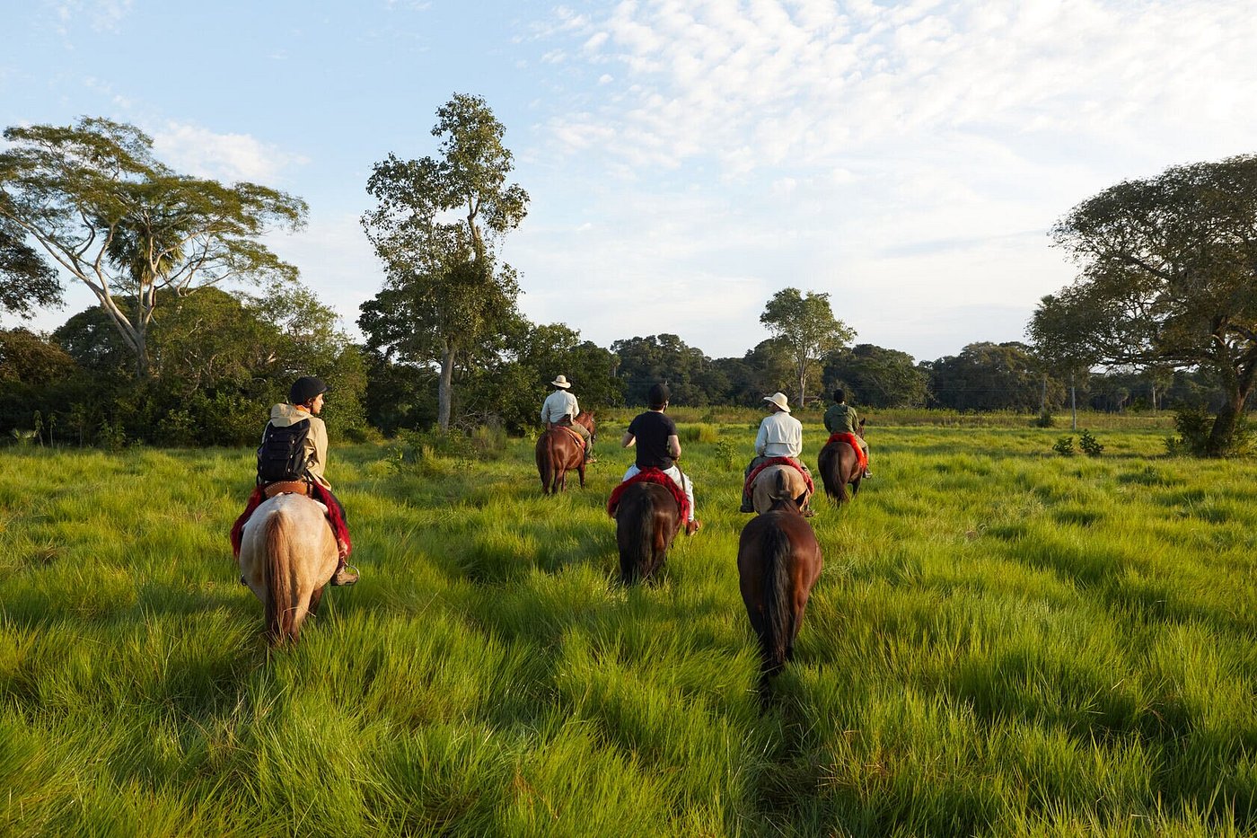 atividade passeio a cavalo