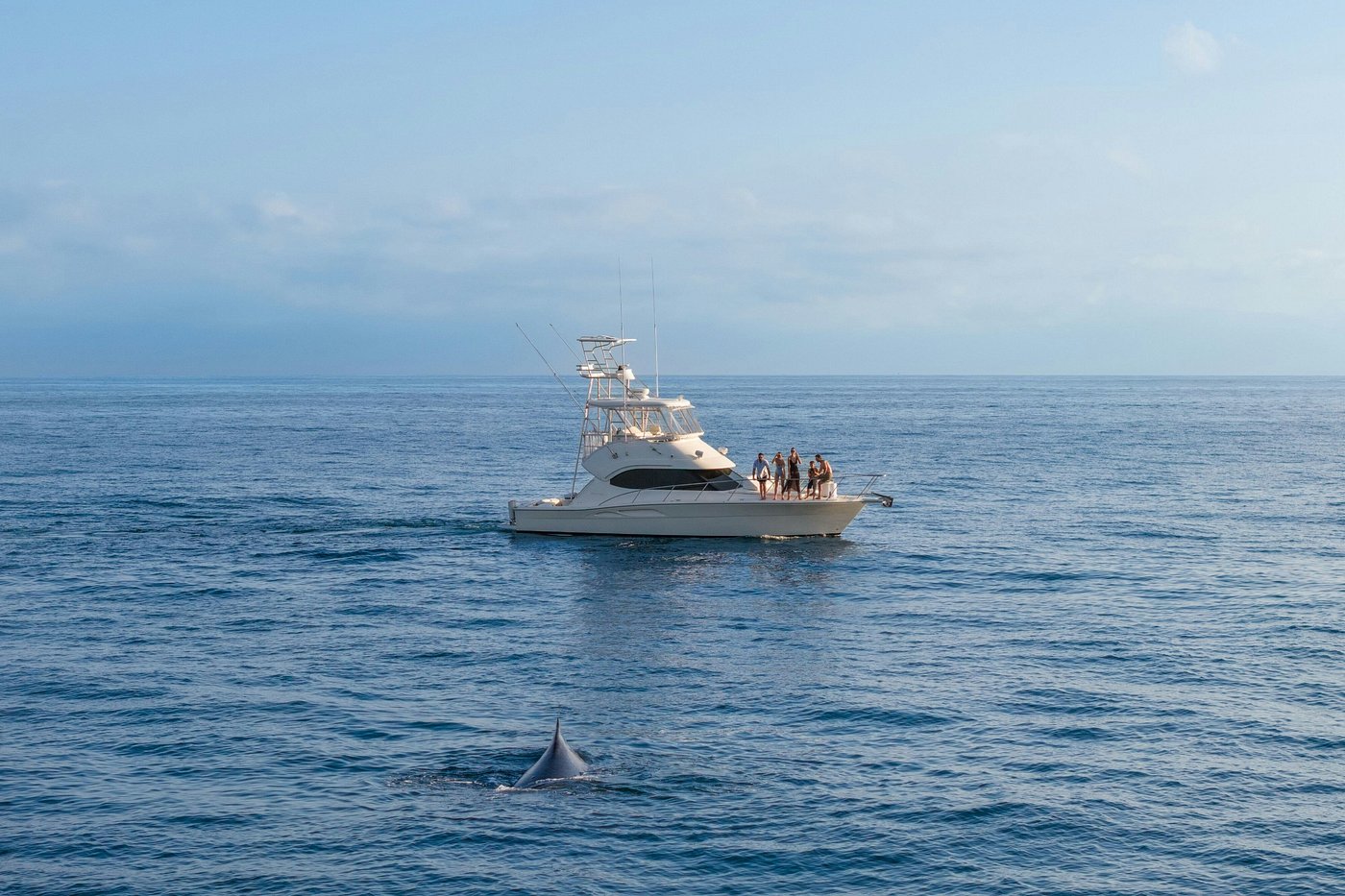 yacht experience