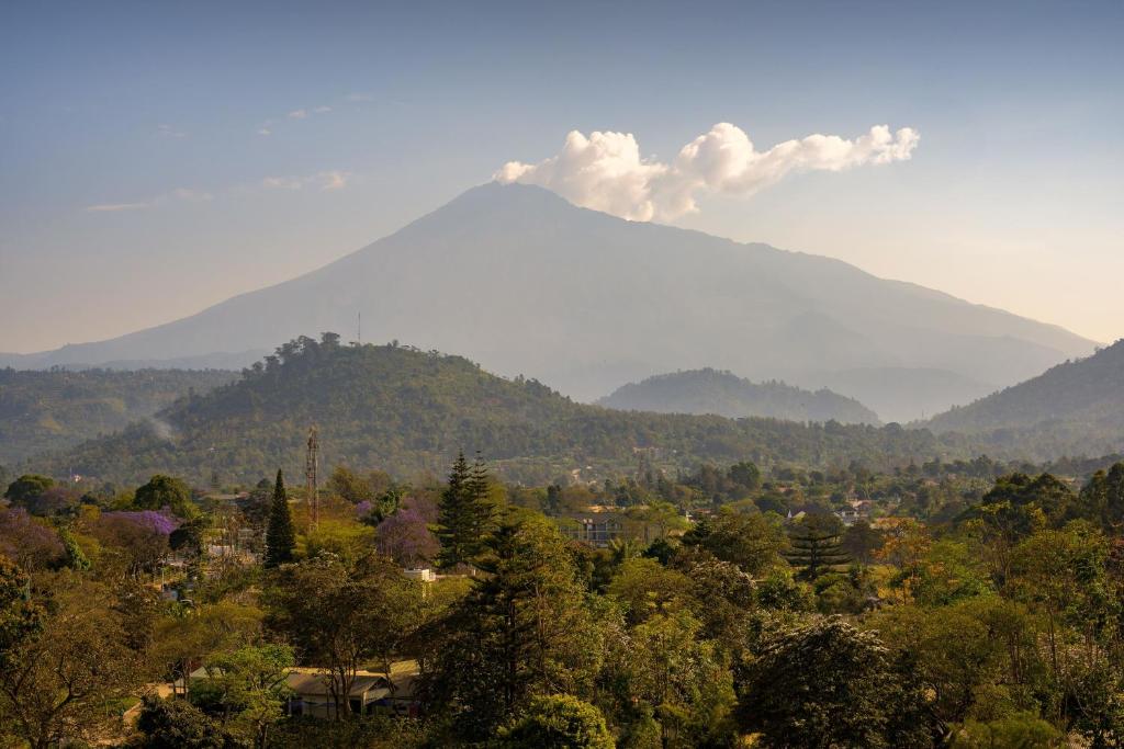 gran meliá arusha 5