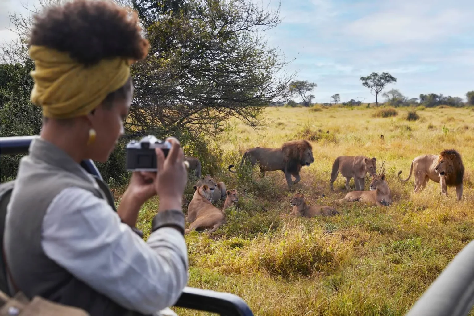 tza experiences 042826 game drives asset 1