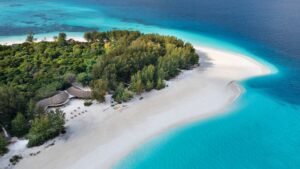 zanzibar mnemba island wakacje z carter