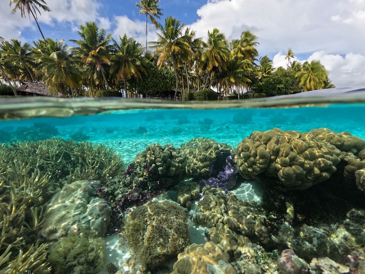 vahine island fabulous